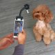 Lovely Pet Selfie Stick