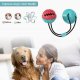 Suction Cup Dog Toy